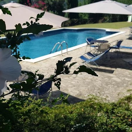 Case In Campagna Con Piscina A Todi Zewnętrze zdjęcie